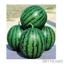 西瓜爆料泰蜜的视频大全,泰蜜视频大全精彩瞬间大盘点 第1张 西瓜爆料泰蜜的视频大全,泰蜜视频大全精彩瞬间大盘点 第1张